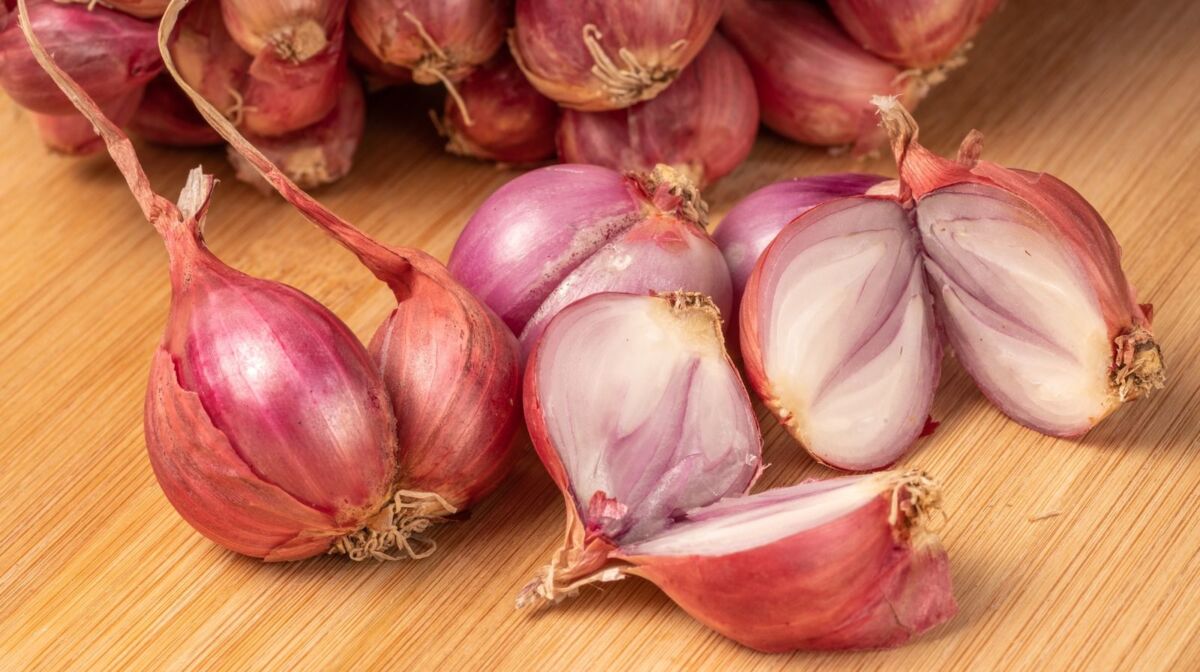 Shallots