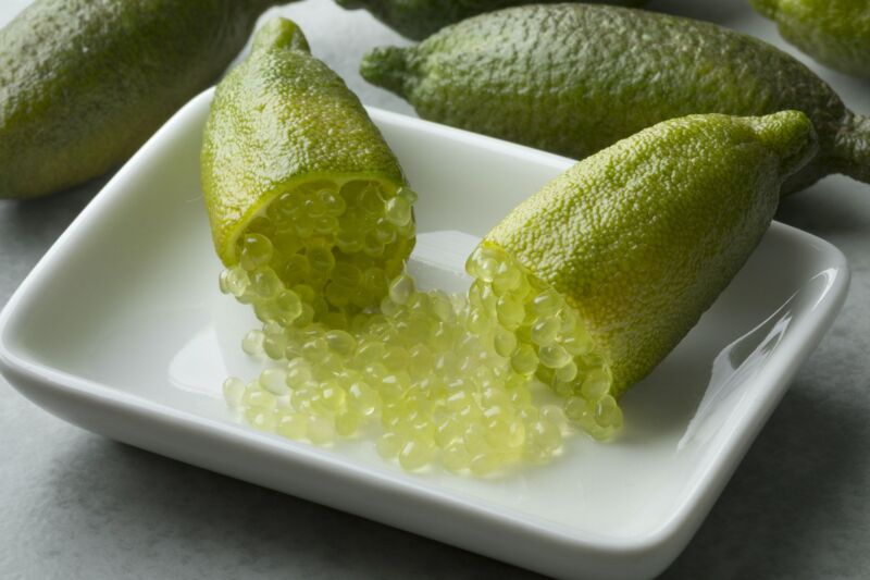 Finger Lime