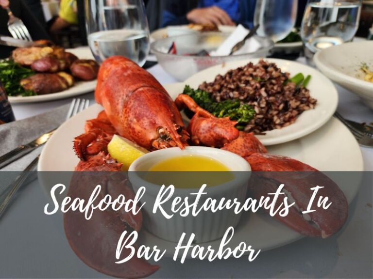 Seafood Restaurants In Bar Harbor