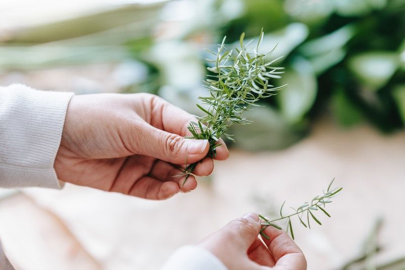 How To Chop Rosemary