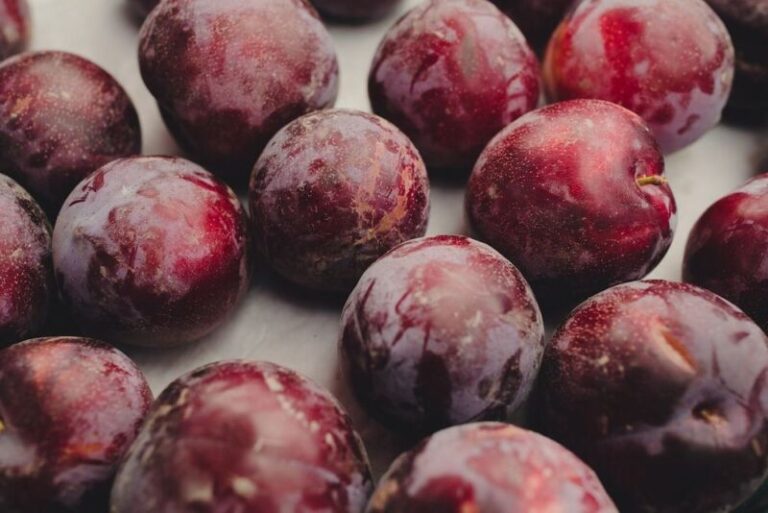 Can You Freeze Plums?