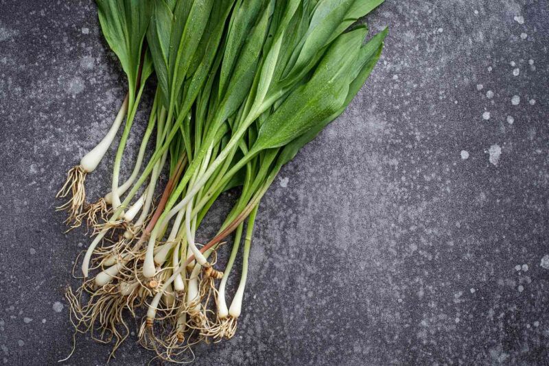 Ramps