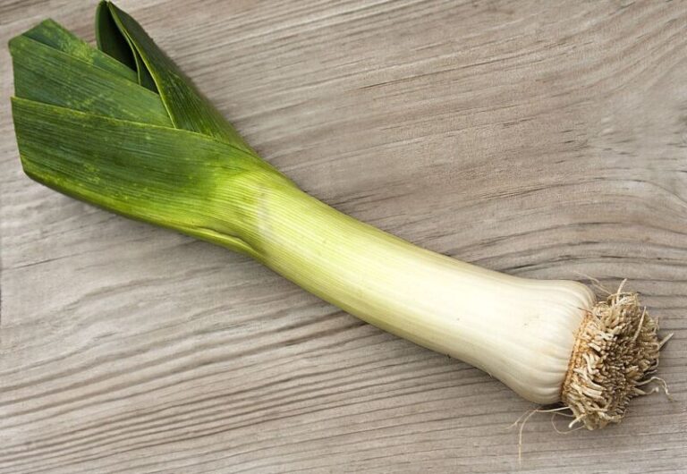 Best Leek Substitutes