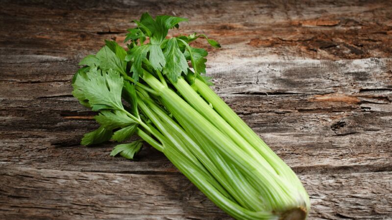 Celery