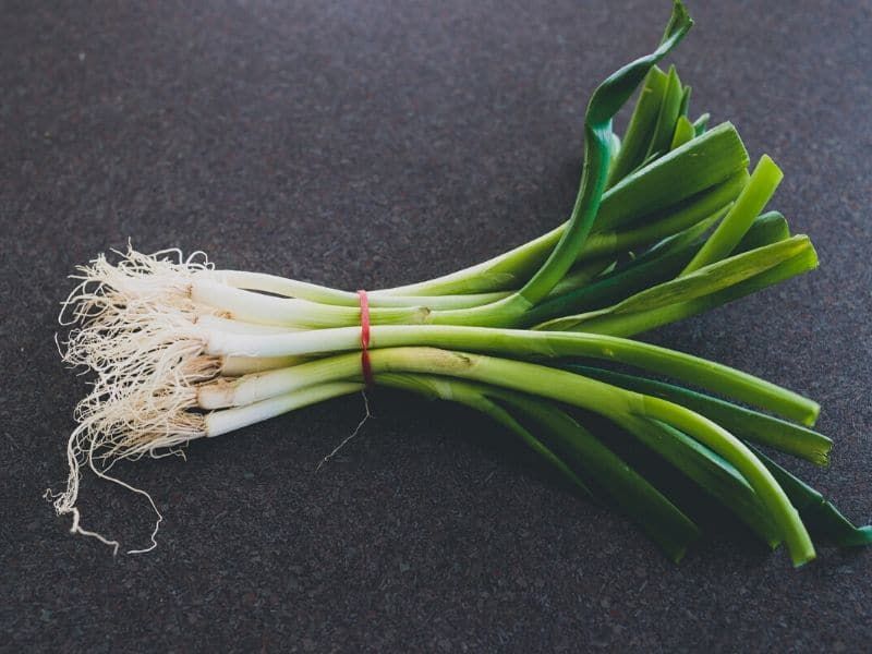 Scallions