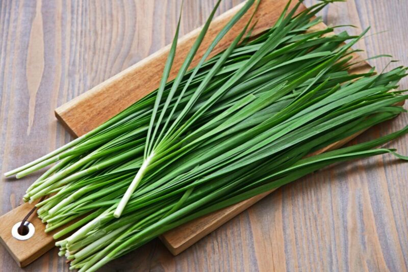 Chinese Chives