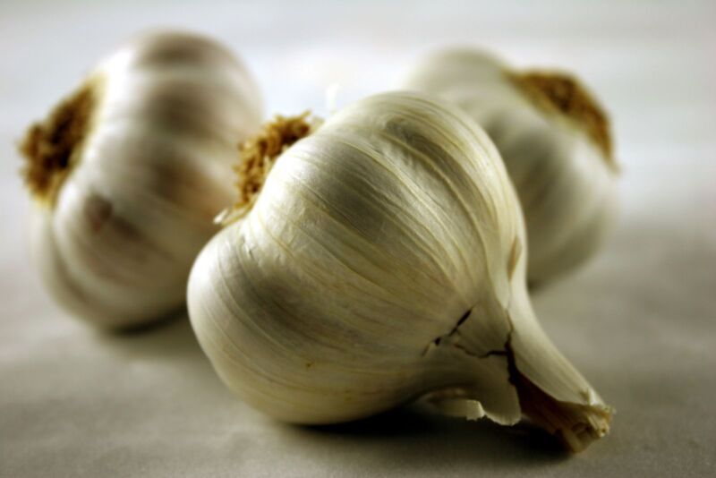 Garlic