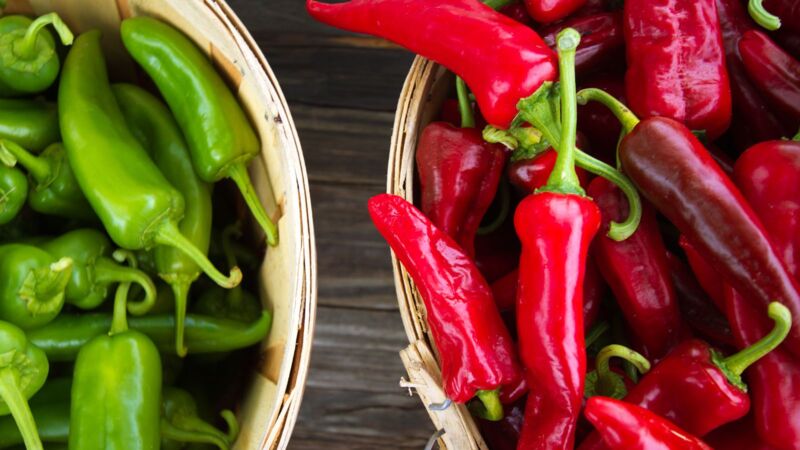 New Mexico Chilies