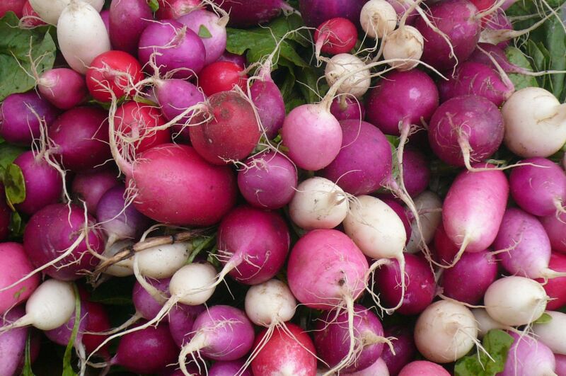 2. Radishes