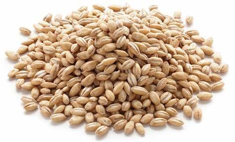 Pearl Barley