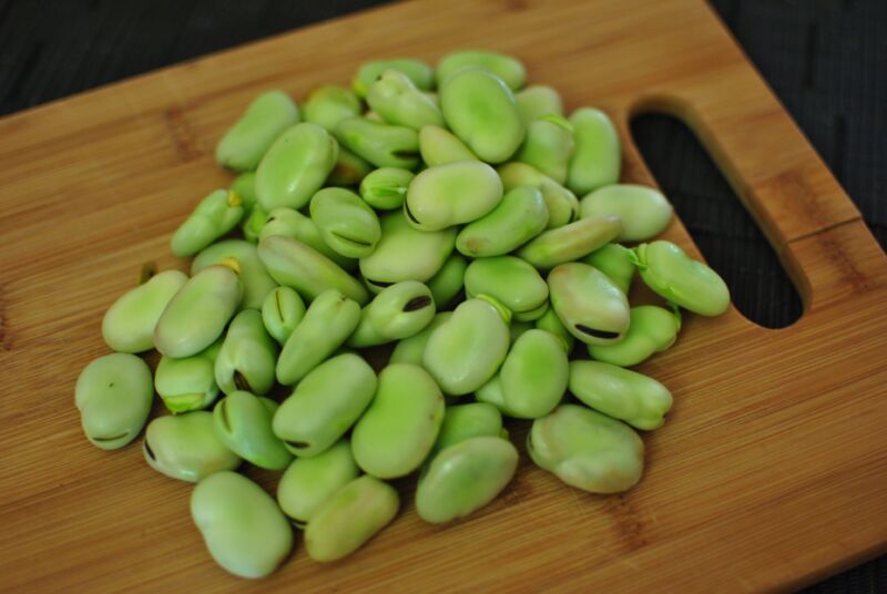 Best Substitutes for Fava Beans