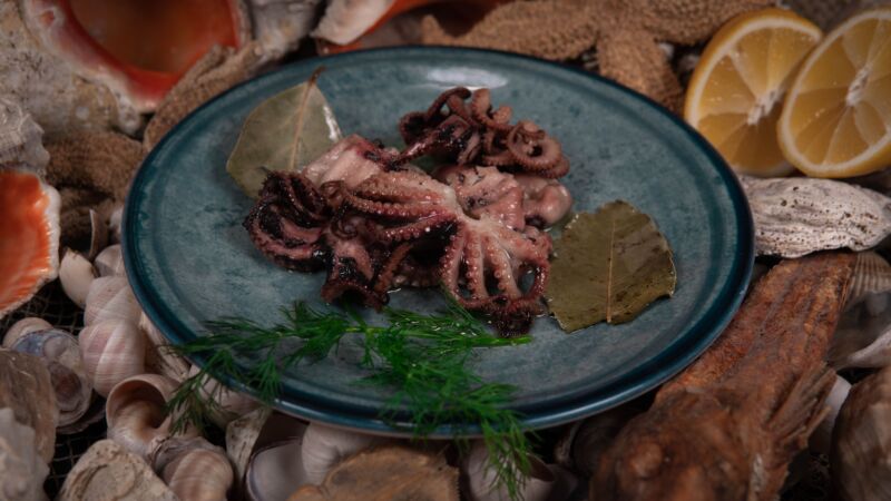 The Taste and Texture of Raw Octopus