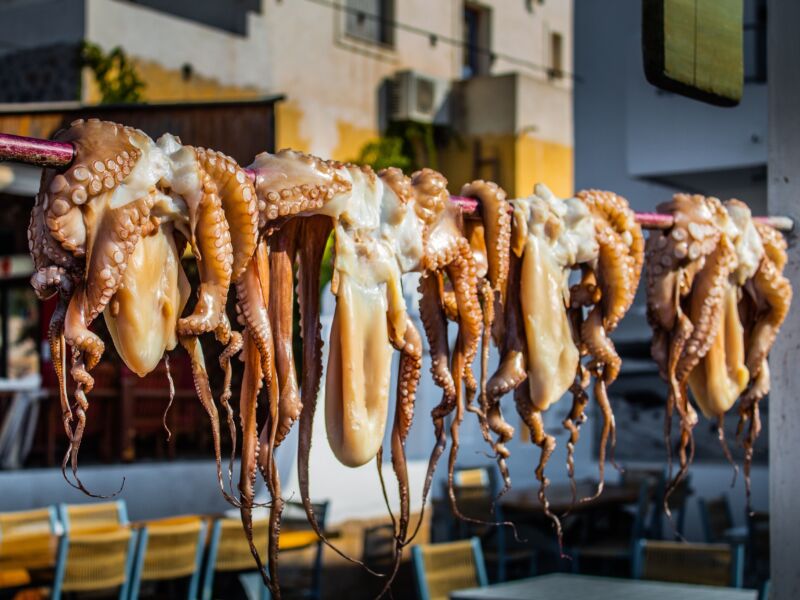 Noteworthy Octopus Dishes Around the World