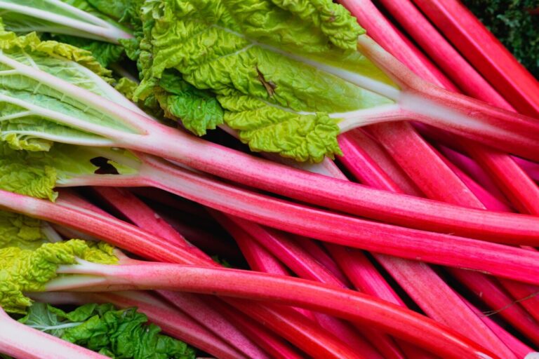 What Does Rhubarb Taste Like?