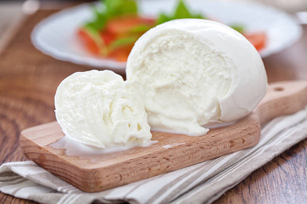 Blue Mold on Mozzarella Cheese